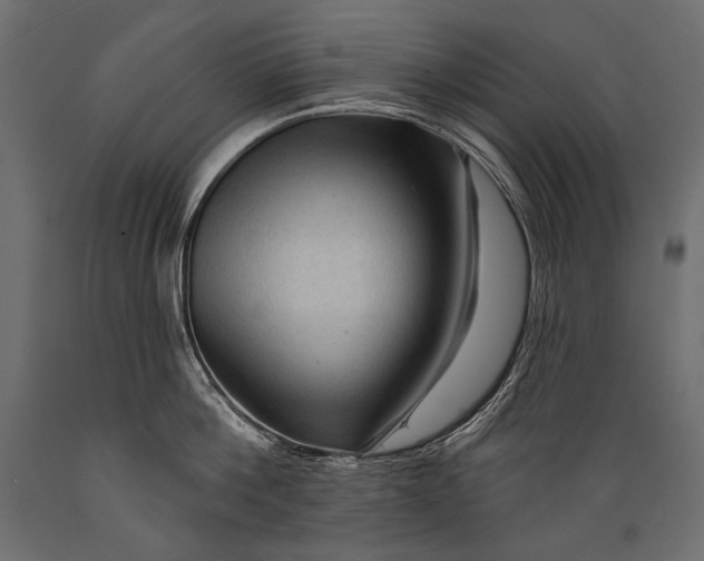 X0000088850812200706291454