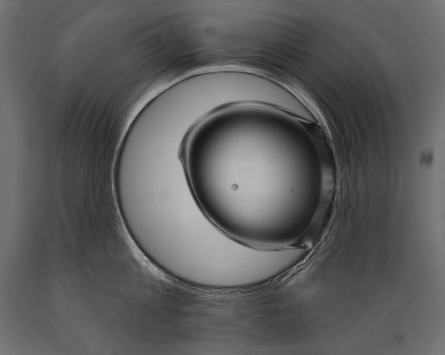 X0000088850813200706291454