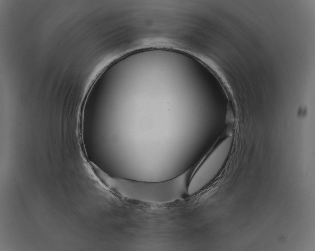 X0000088850815200706291454