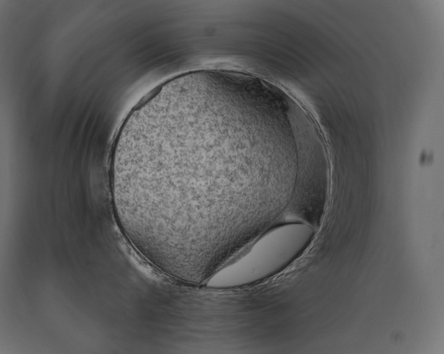 X0000088850816200706291453