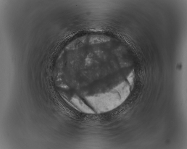 X0000088850817200706291453