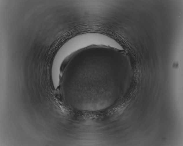 X0000088850818200706291453