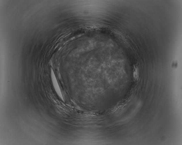 X0000088850819200706291453