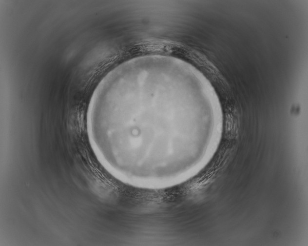 X0000088850820200706291453