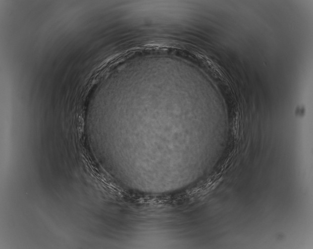 X0000088850821200706291453