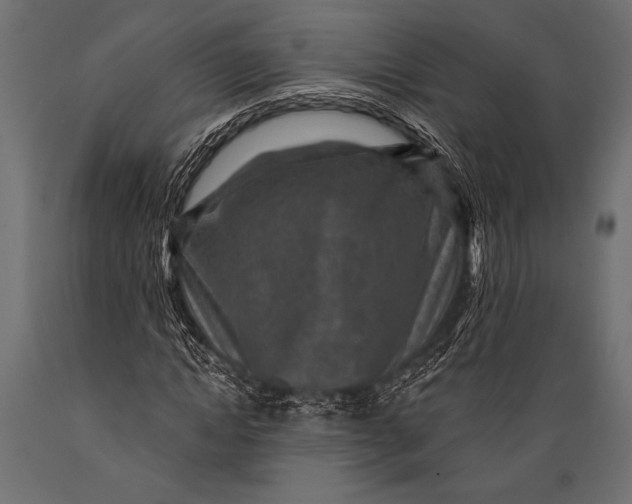 X0000088850822200706291453