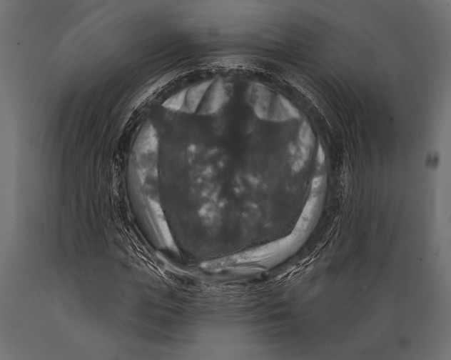 X0000088850823200706291453