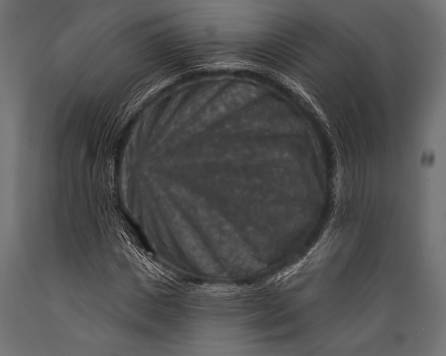 X0000088850825200706291453