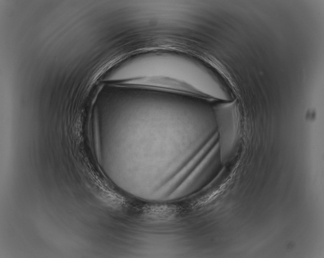 X0000088850826200706291453