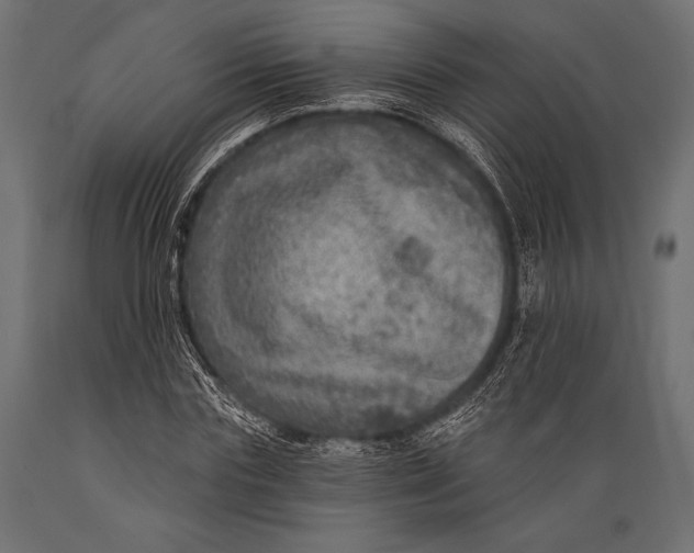 X0000088850827200706291453