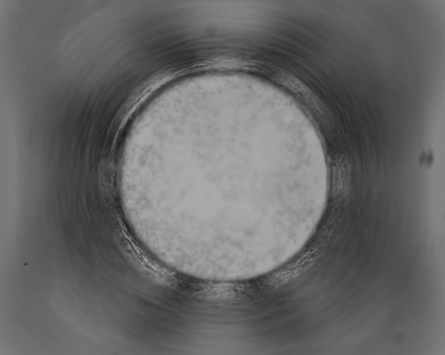 X0000088850828200706291453