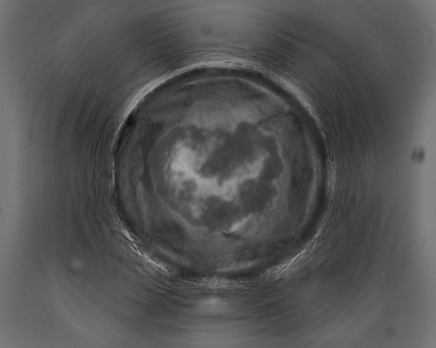 X0000088850829200706291453