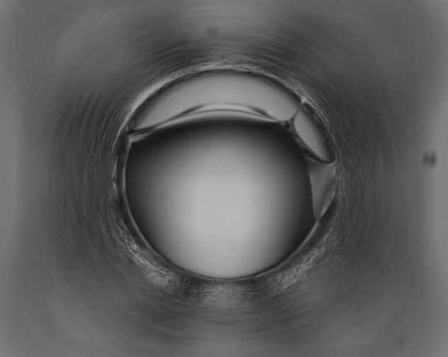 X0000088850830200706291453