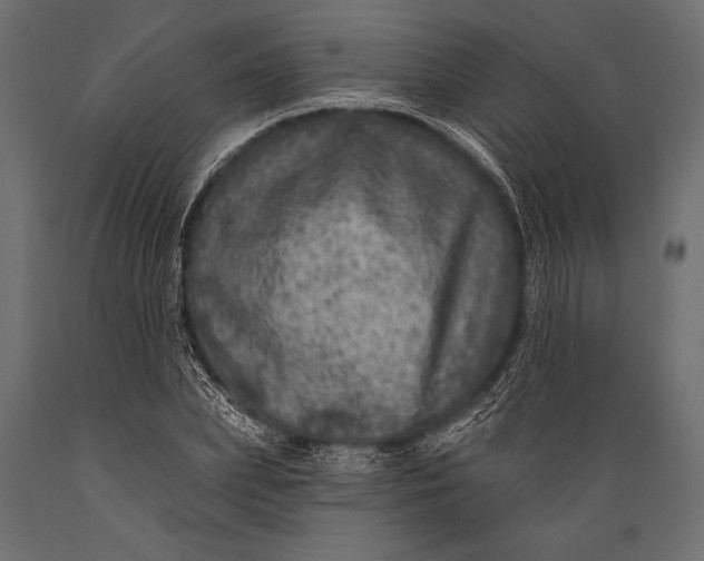 X0000088850831200706291453