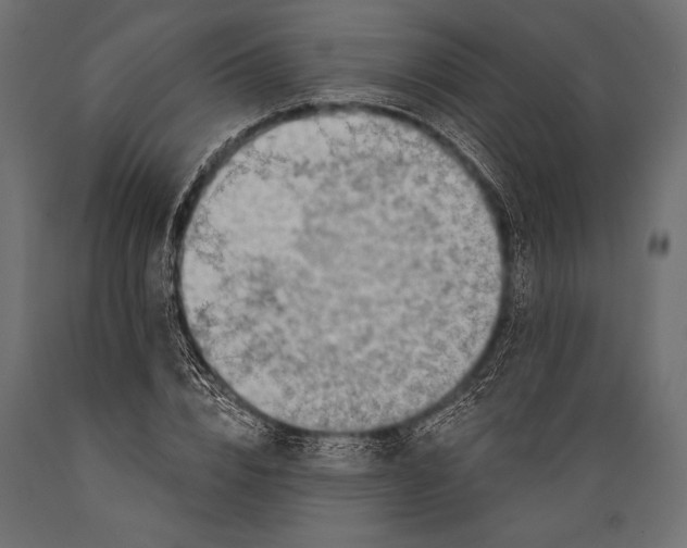 X0000088850832200706291453