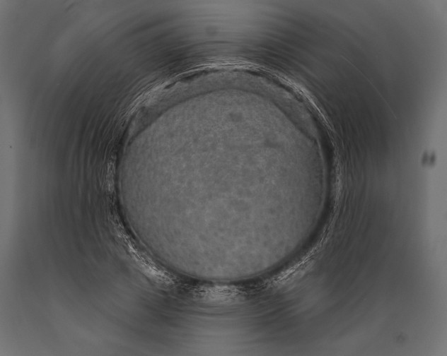 X0000088850833200706291453