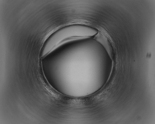 X0000088850834200706291453