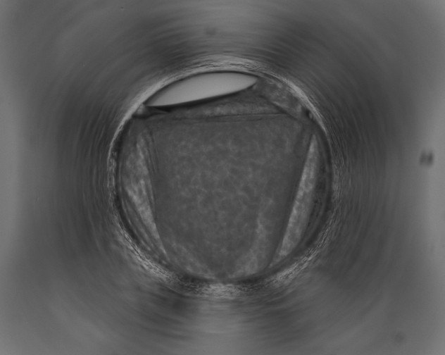 X0000088850835200706291453