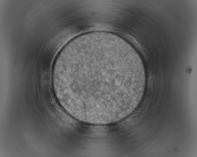 X0000088850836200706291453