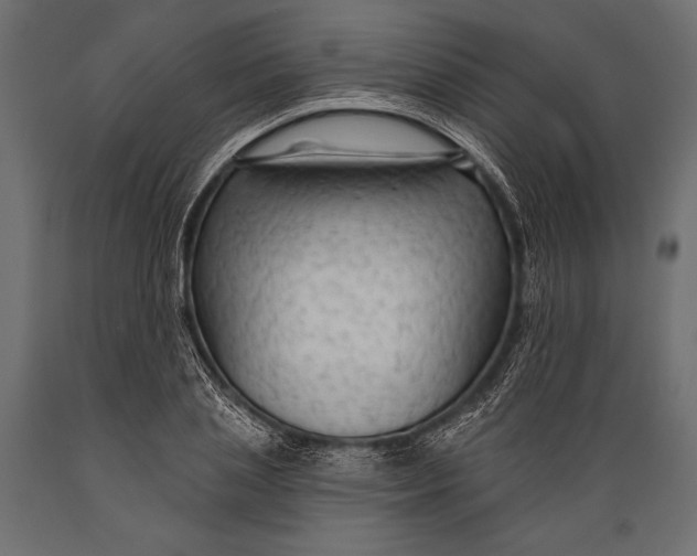 X0000088850837200706291453