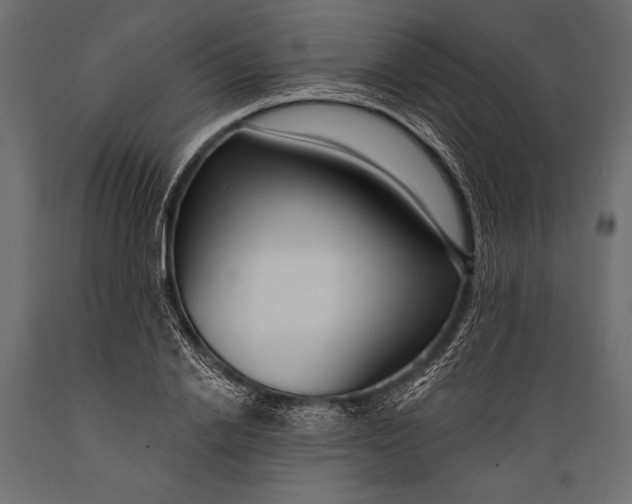 X0000088850838200706291453