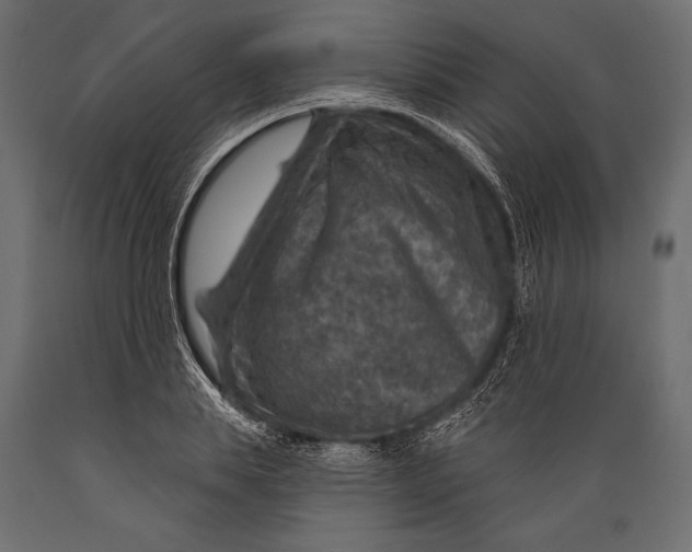 X0000088850839200706291453