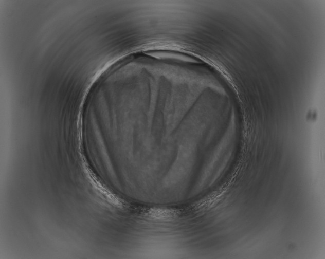 X0000088850840200706291453