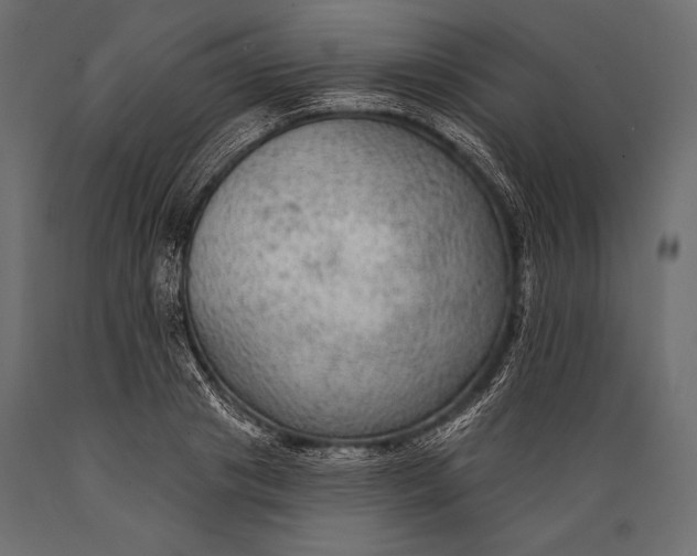 X0000088850841200706291453