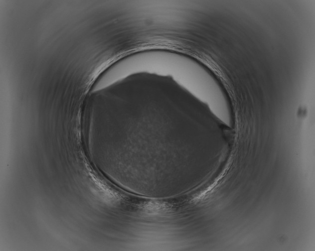 X0000088850842200706291453