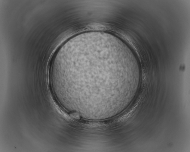 X0000088850843200706291453