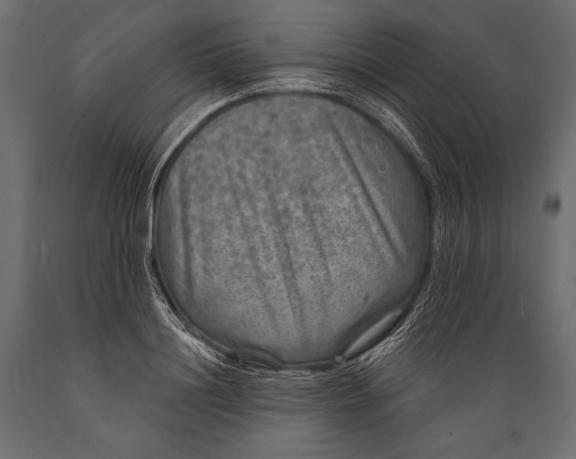 X0000088850844200706291453