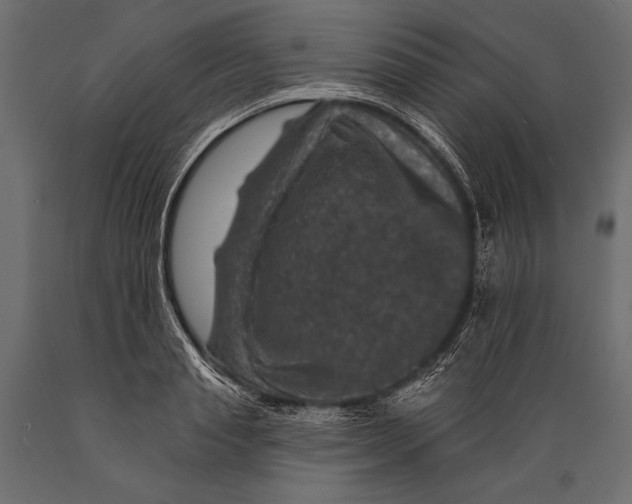 X0000088850845200706291453