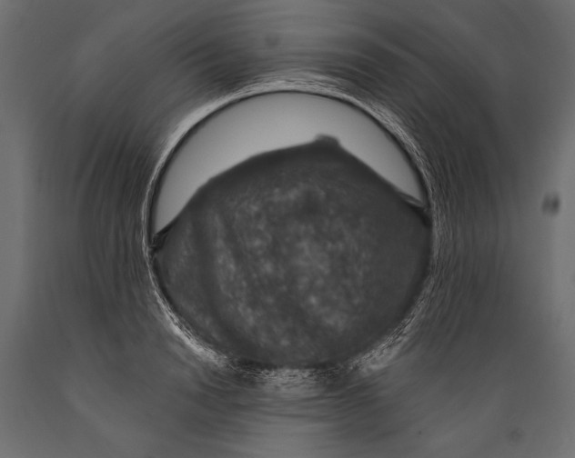 X0000088850846200706291453