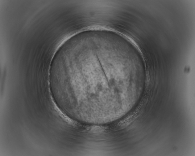 X0000088850847200706291453