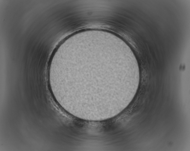 X0000088850848200706291453