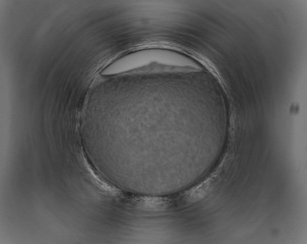 X0000088850849200706291453