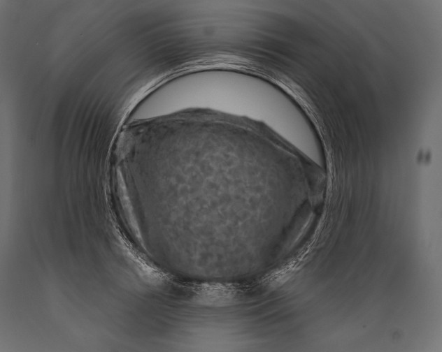 X0000088850850200706291453