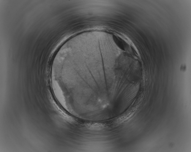 X0000088850851200706291453