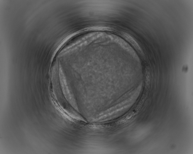 X0000088850852200706291453