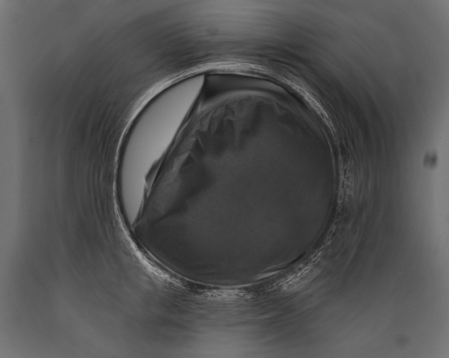 X0000088850853200706291453