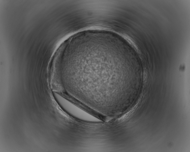 X0000088850854200706291453