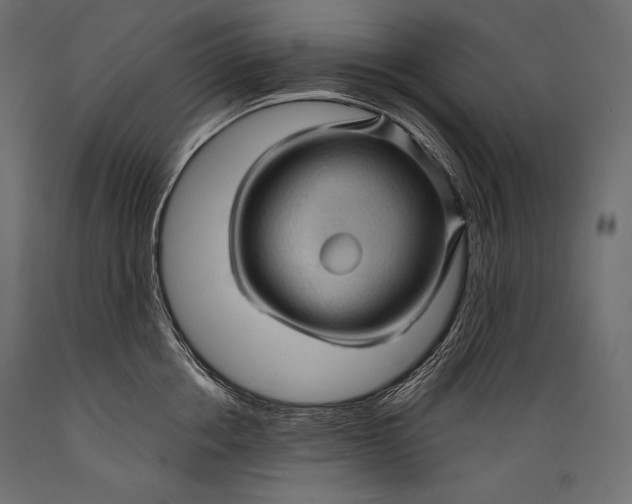 X0000088850858200706291453