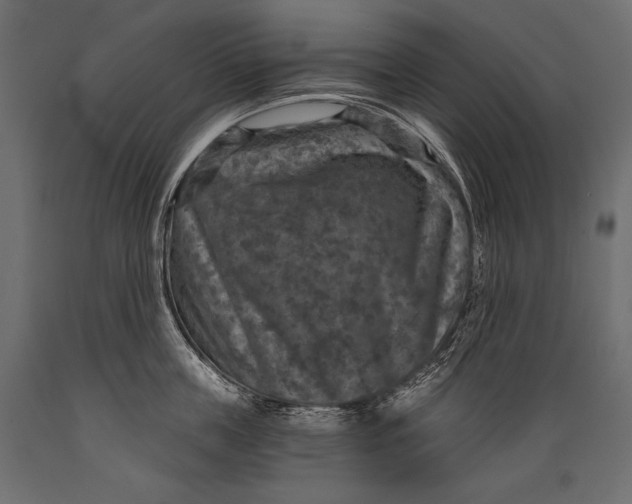 X0000088850859200706291453