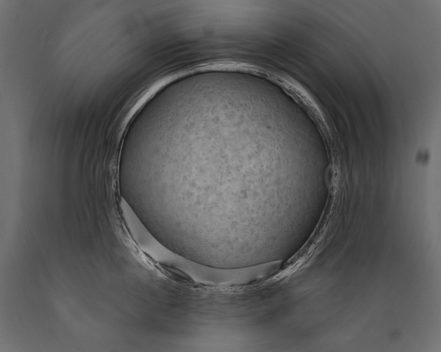 X0000088850860200706291453