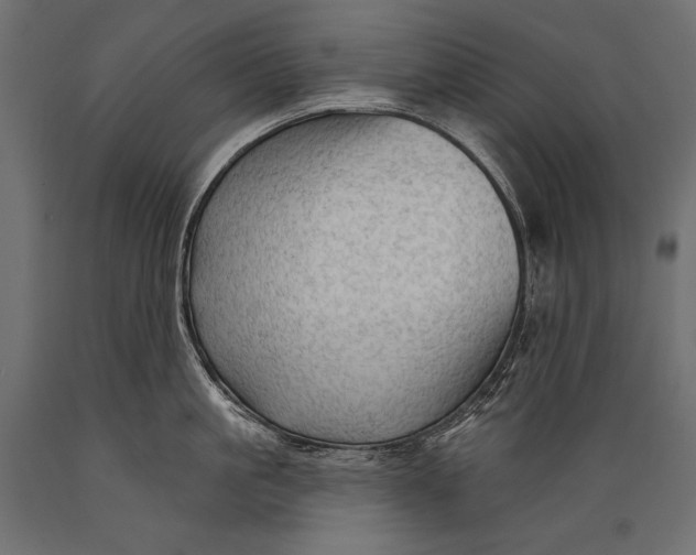 X0000088850861200706291453