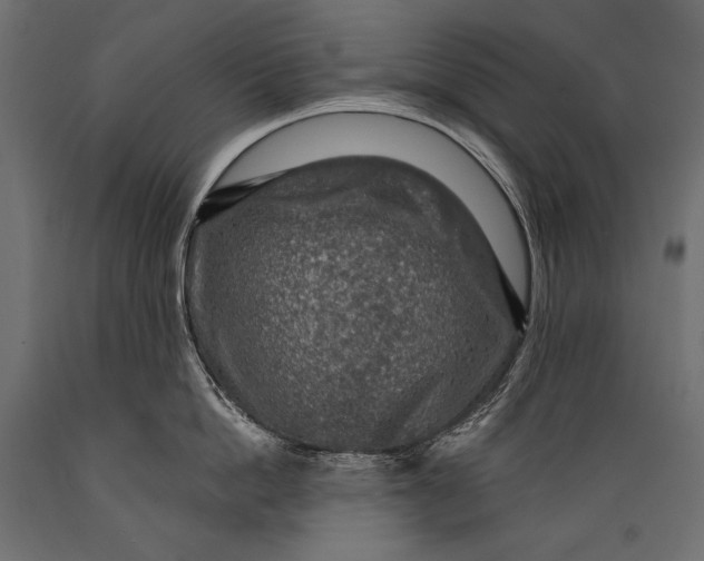 X0000088850862200706291453