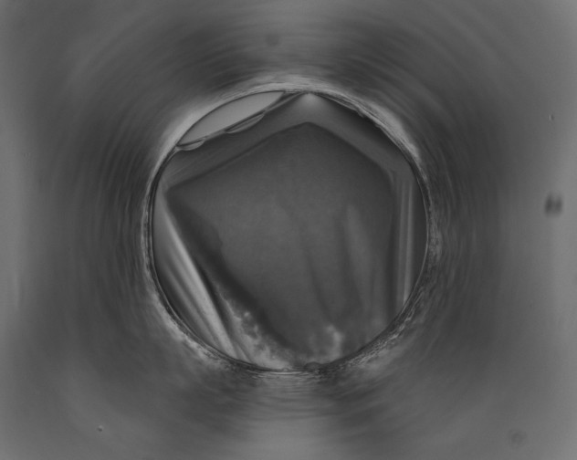 X0000088850863200706291453