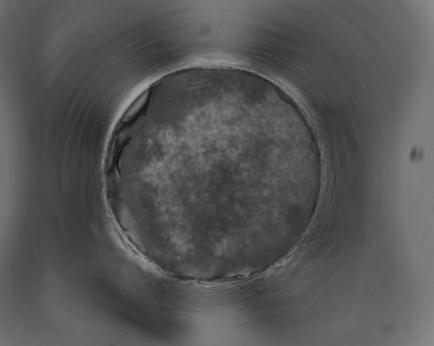 X0000088850864200706291453