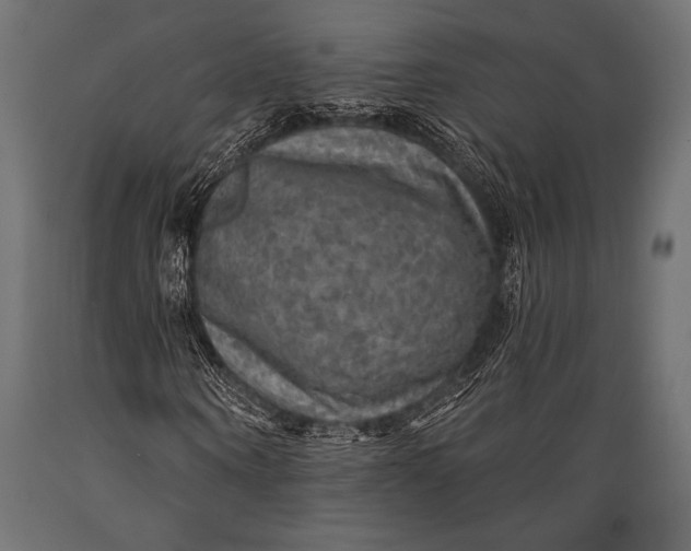 X0000088850866200706291453