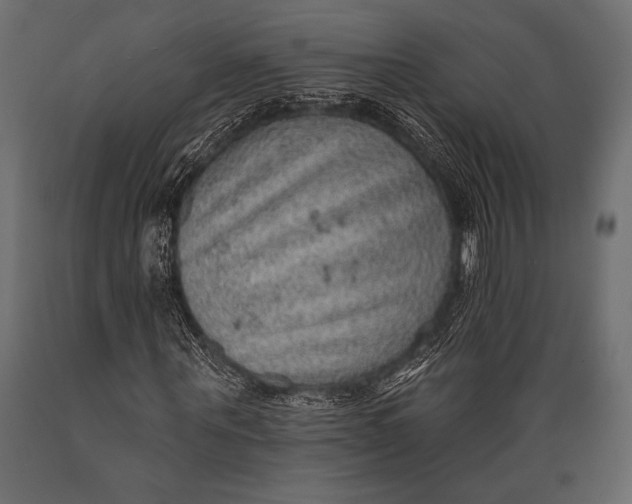 X0000088850867200706291453